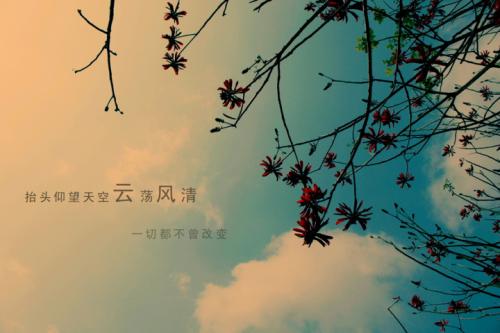 SEOW(xu):ٶȷ~g(sh)ٶȷ~
