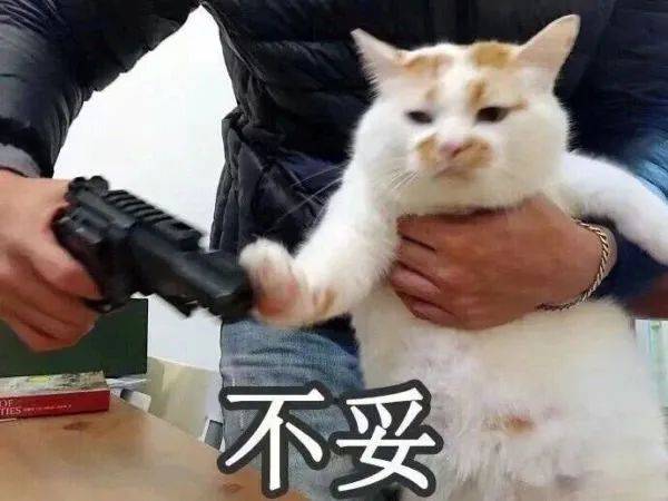 搞笑沙雕的表情包(如何制作自己的微信表情包)