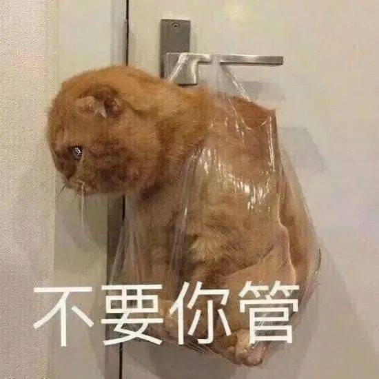 搞笑沙雕的表情包(如何制作自己的微信表情包)