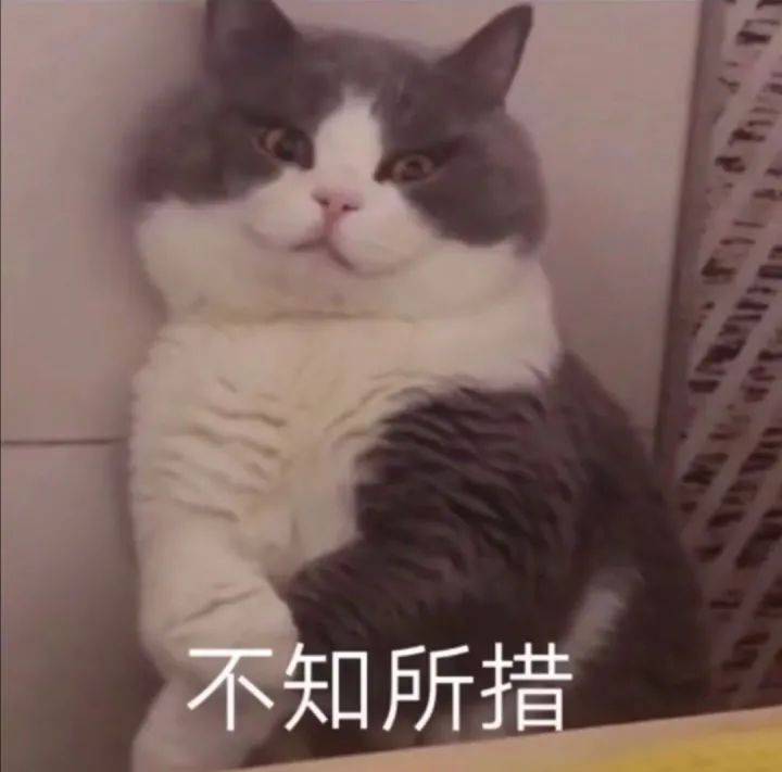搞笑沙雕的表情包(如何制作自己的微信表情包)
