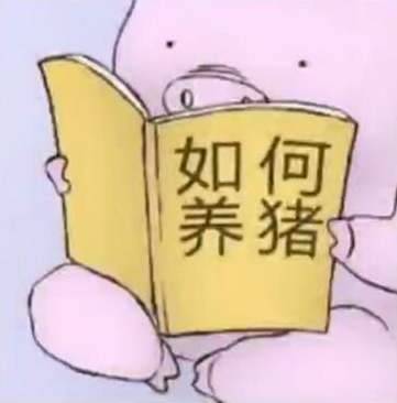 熊貓擬人化,二次元小姐姐