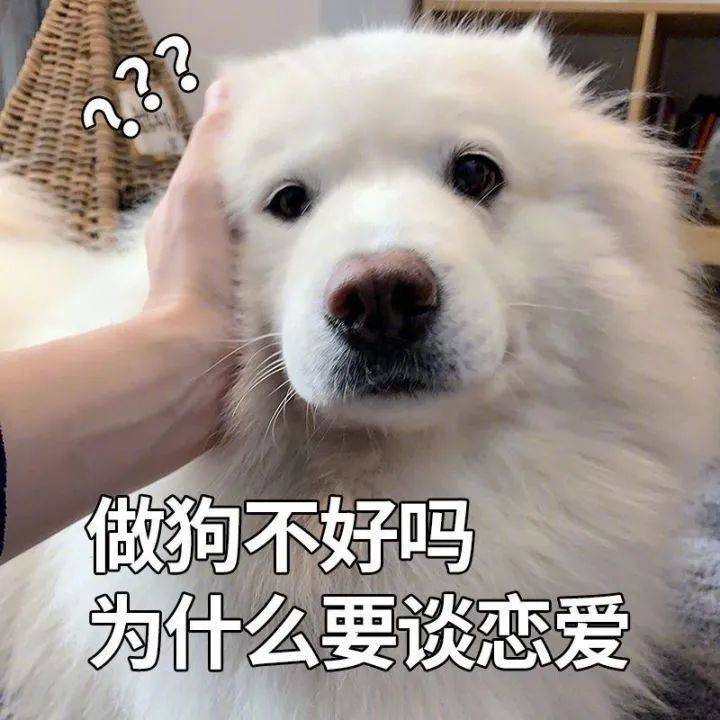 搞笑沙雕的表情包(如何制作自己的微信表情包)