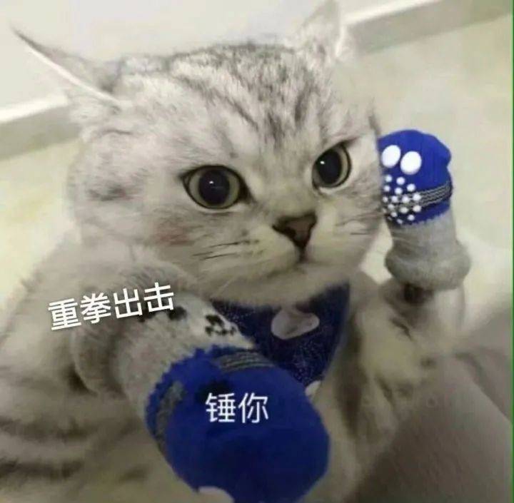 搞笑沙雕的表情包(如何制作自己的微信表情包)