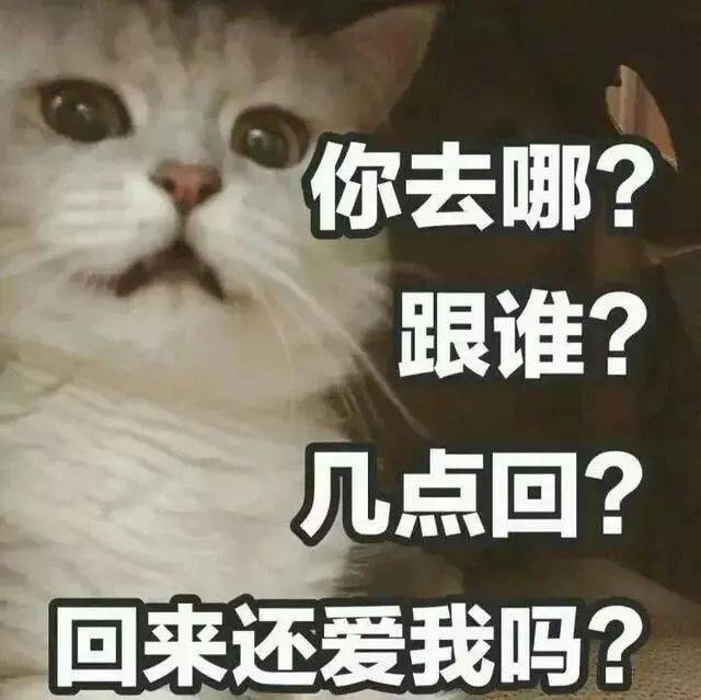 搞笑沙雕的表情包(如何制作自己的微信表情包)