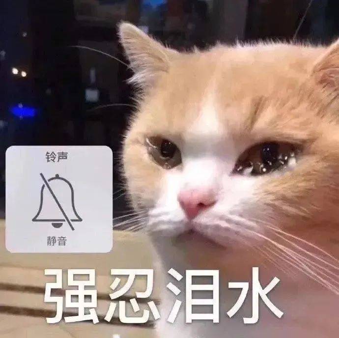 搞笑沙雕的表情包(如何制作自己的微信表情包)