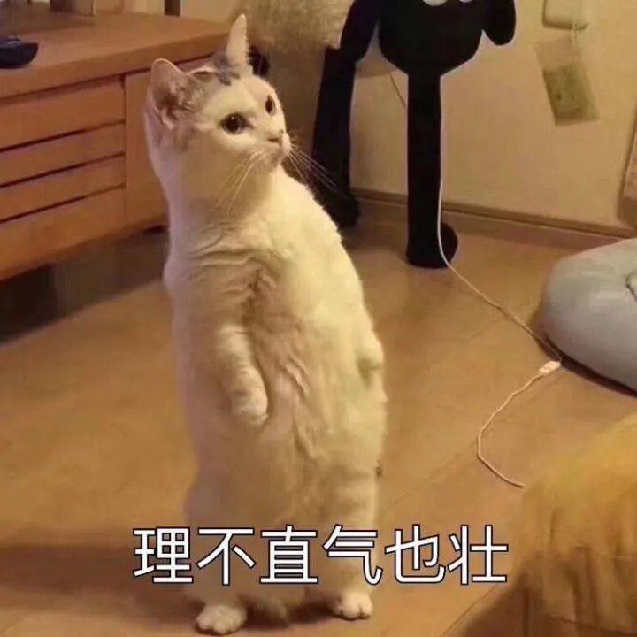 搞笑沙雕的表情包(如何制作自己的微信表情包)