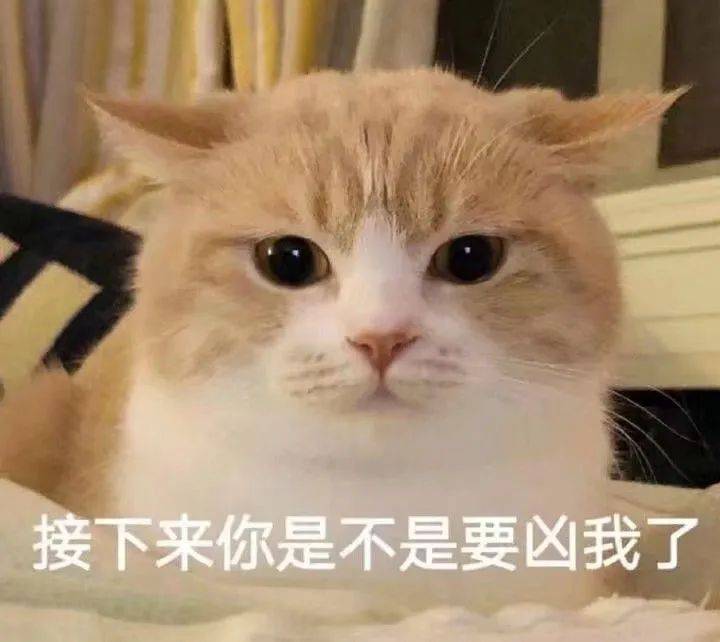 搞笑沙雕的表情包(如何制作自己的微信表情包)