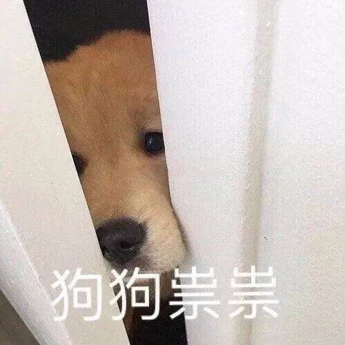 搞笑沙雕的表情包(如何制作自己的微信表情包)