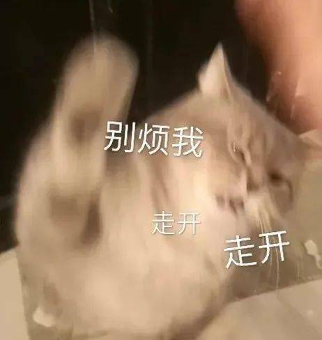 搞笑沙雕的表情包(如何制作自己的微信表情包)