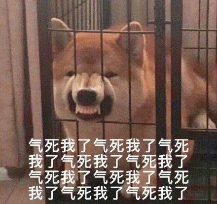 搞笑沙雕的表情包(如何制作自己的微信表情包)