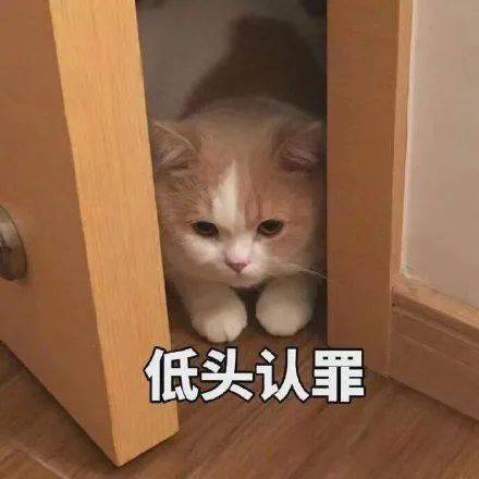搞笑沙雕的表情包(如何制作自己的微信表情包)