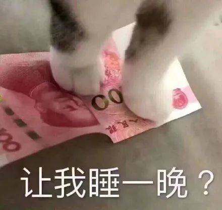 搞笑沙雕的表情包(如何制作自己的微信表情包)