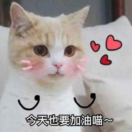 搞笑沙雕的表情包(如何制作自己的微信表情包)