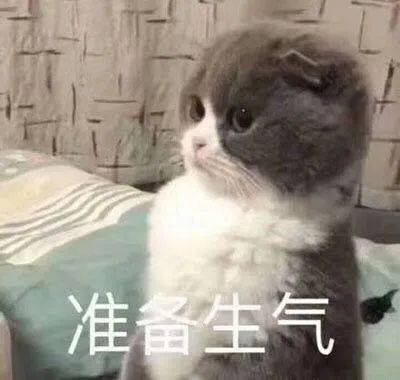 搞笑沙雕的表情包(如何制作自己的微信表情包)
