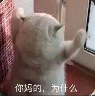 搞笑沙雕的表情包(如何制作自己的微信表情包)
