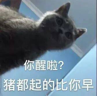 搞笑沙雕的表情包(如何制作自己的微信表情包)