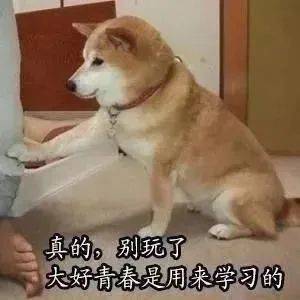 搞笑沙雕的表情包(如何制作自己的微信表情包)