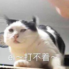 搞笑沙雕的表情包(如何制作自己的微信表情包)