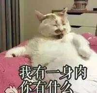 搞笑沙雕的表情包(如何制作自己的微信表情包)