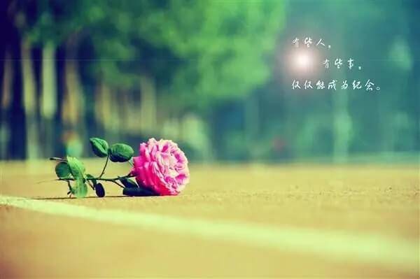 唯美仙氣的網名群昵稱大全