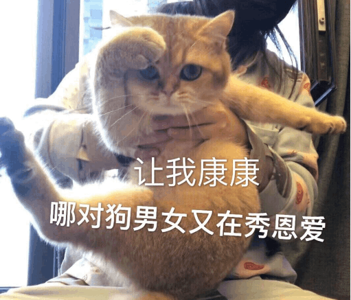 七夕發圈的句子