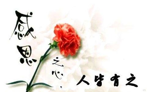 感恩從心開始句子