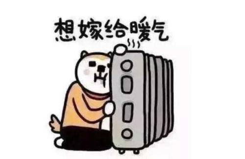 冷的圖片可愛句子發(fā)朋友圈