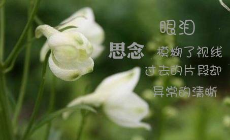 想念爸爸在天堂的心情短語