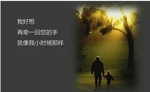 對父親的哀思短語句子