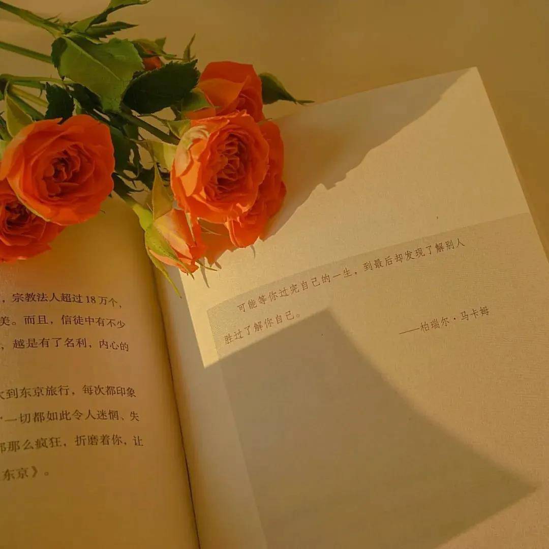 某某結尾那一段話，小說經典句子大全