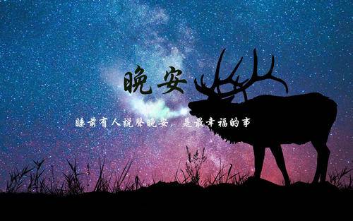 寶貝晚安句子