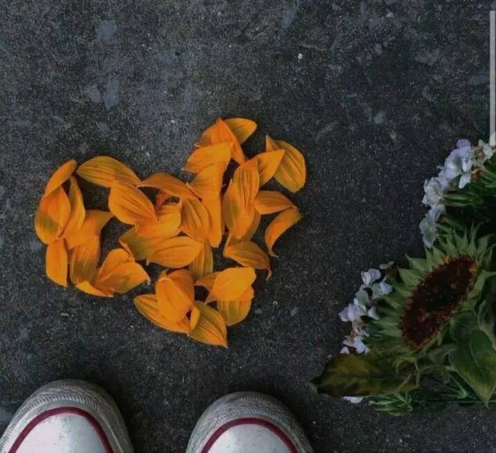 滿是遺憾的文案