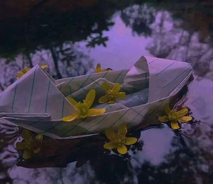 滿是遺憾的文案