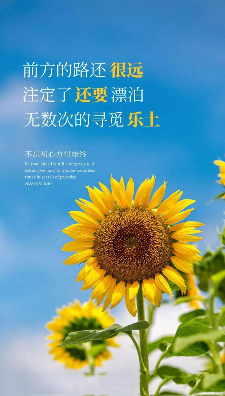 「2022.03.30」早安心語，正能量短句子最新版早上好精美勵志圖片