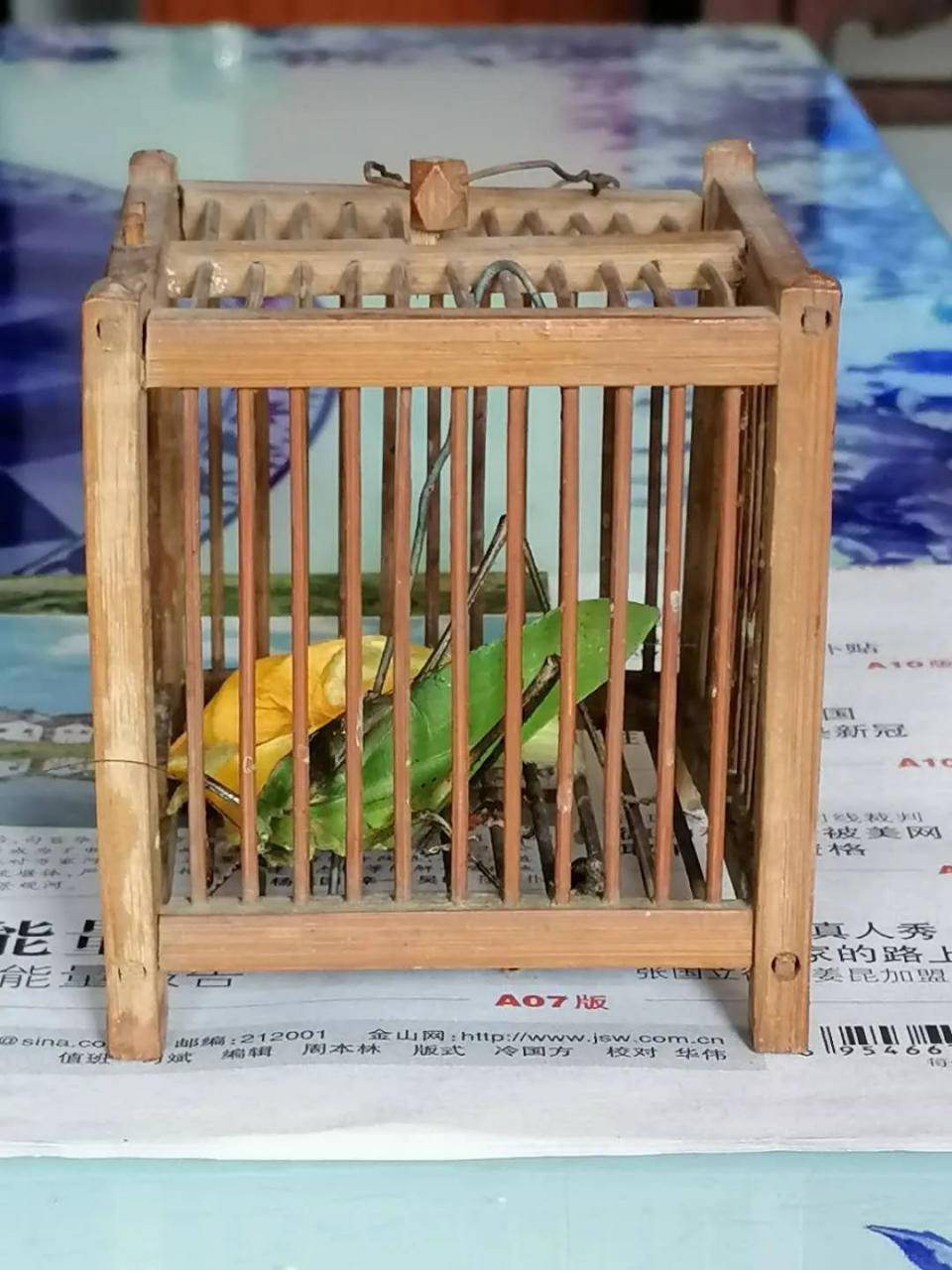 圖片