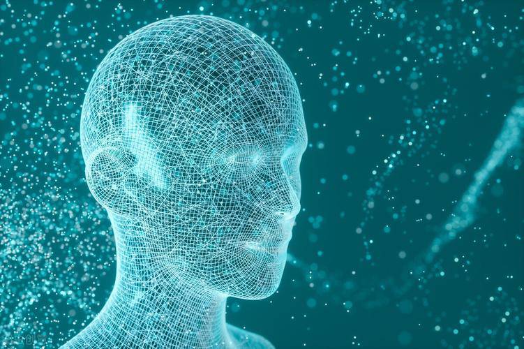 人臉識別主要識別哪里