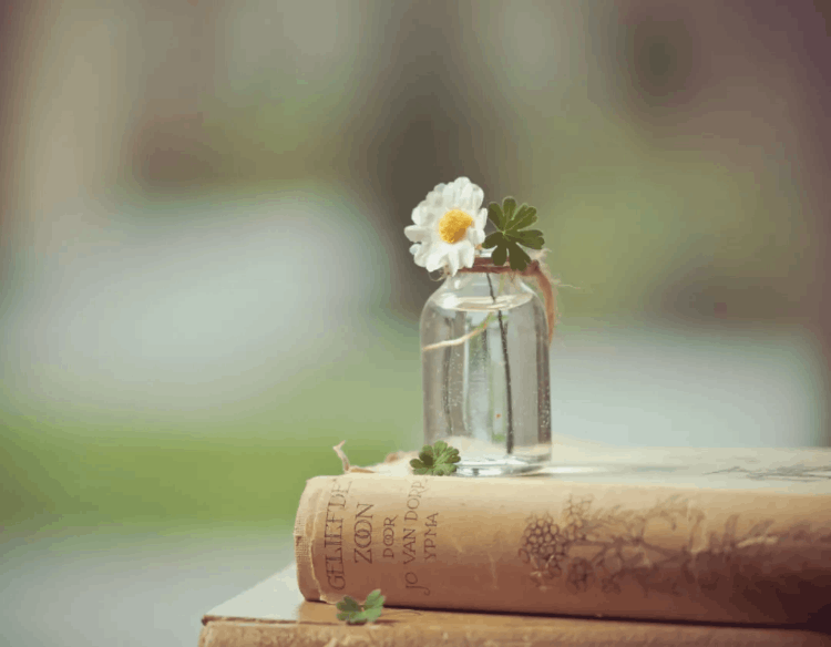 折磨自己的最好方法