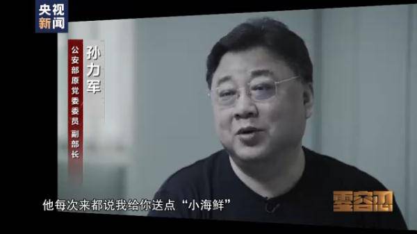 孫力軍“小圈子”成員集體落馬 案件細(xì)節(jié)披露