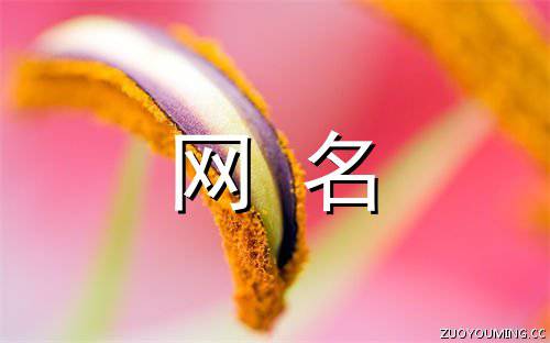 起什么網(wǎng)名好聽(tīng)又旺財(cái)運(yùn)昵稱(chēng)推薦
