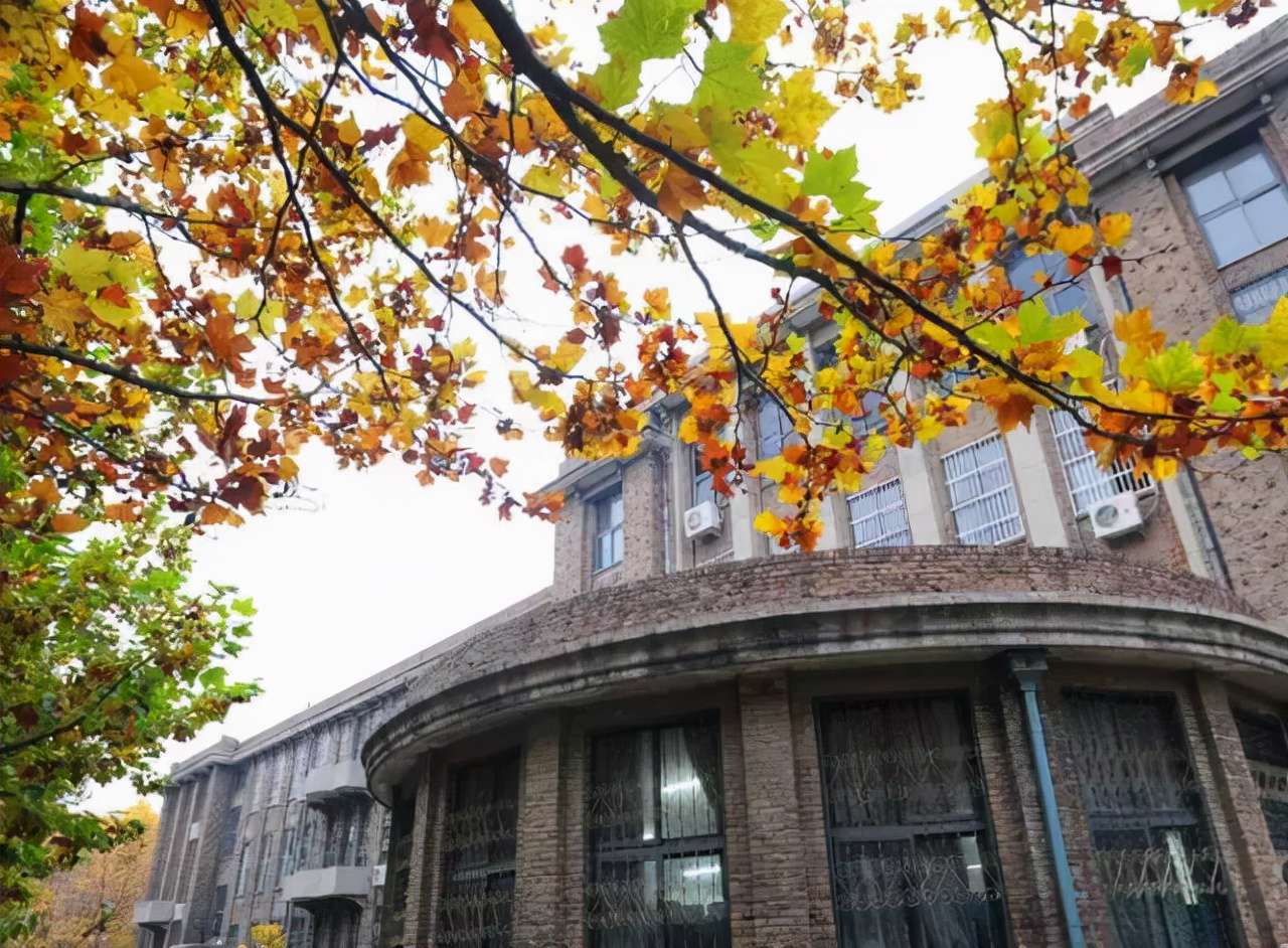 中國農業大學是211還是985,中國農業大學專業錄取分數線一覽