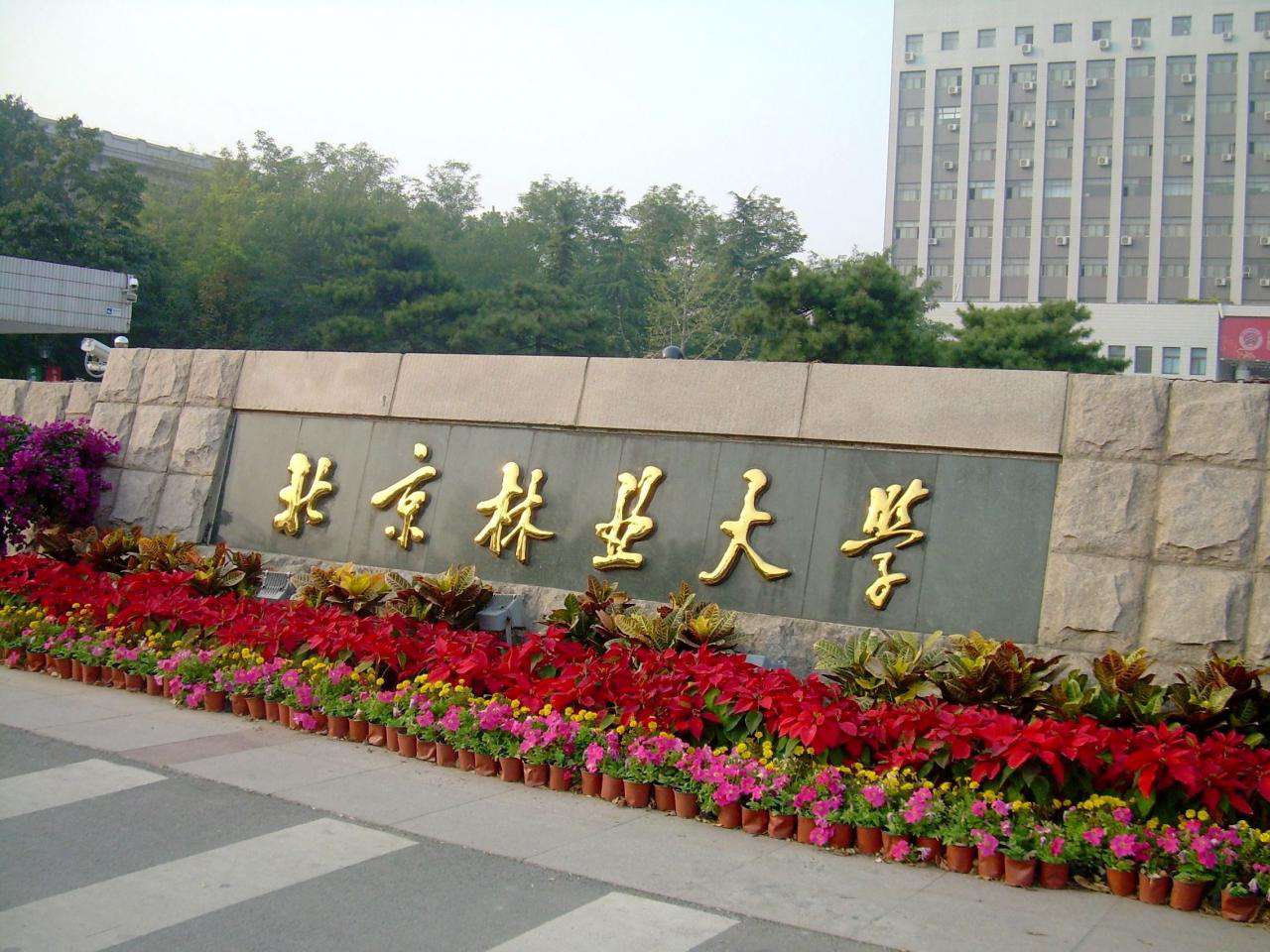 北京林業(yè)大學(xué)是985還是211,北林2021年錄取分?jǐn)?shù)線一覽