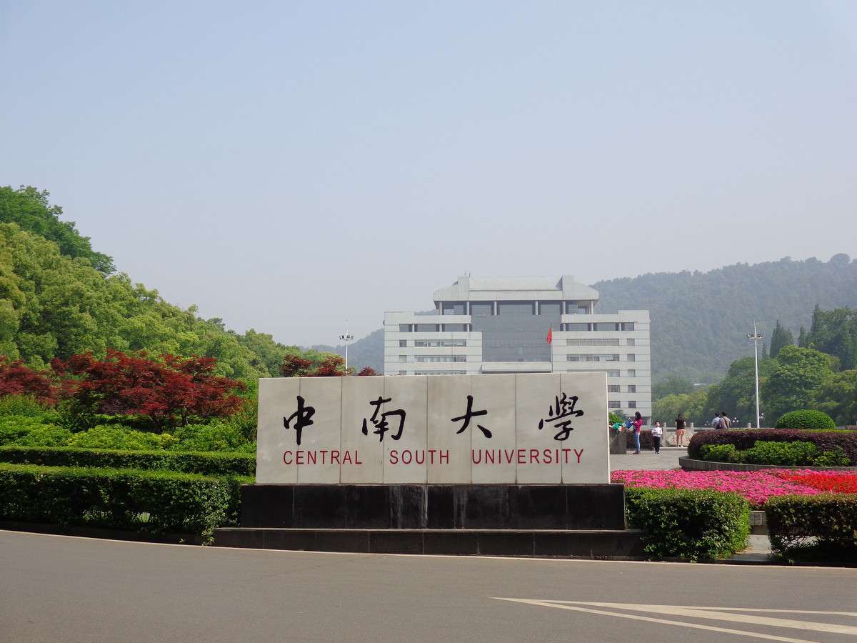 中南大學是985還是211大學,2021年中南大學在各省份錄取詳情