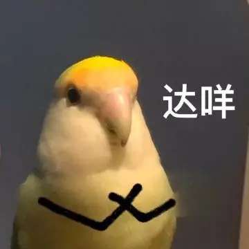 噠咩什么意思(噠咩噠咩梗表情包)