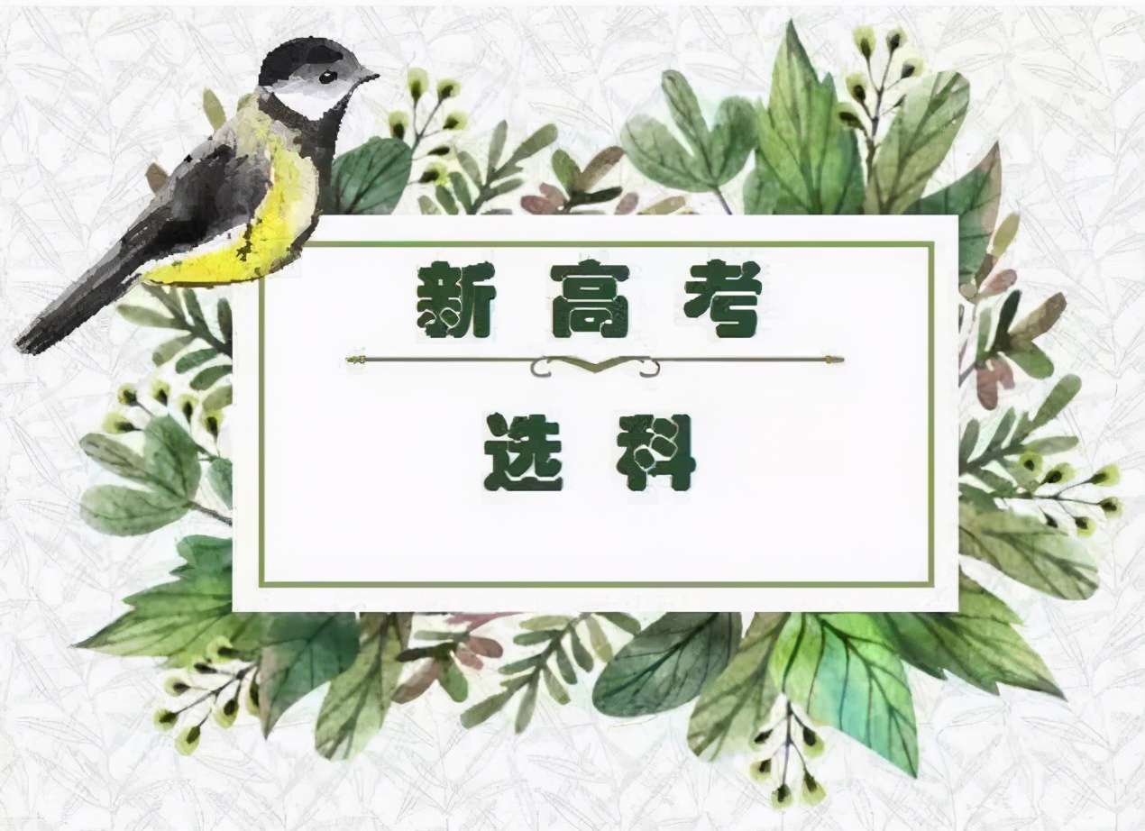 新高考3十1十2最聰明組合(最受高中生歡迎的科目組合)