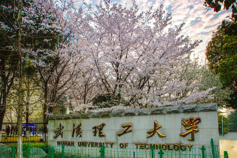 武漢理工大學(211高校)2021年錄取分數線