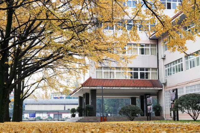 四川農業大學是211嗎,四川農業大學學科介紹