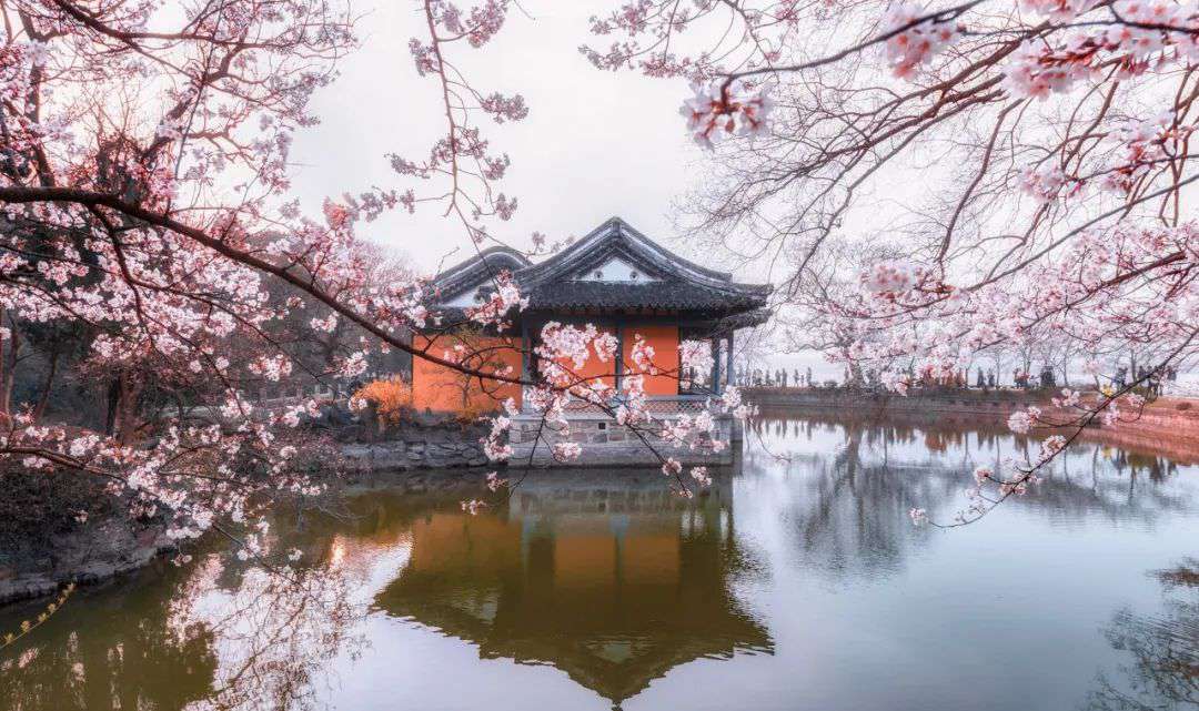 10首清明詩詞，落花飛絮，春意闌珊，最美人間四月天