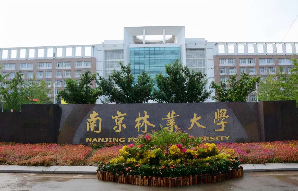 中南林業科技大學排名(五所林業類大學實力對比)