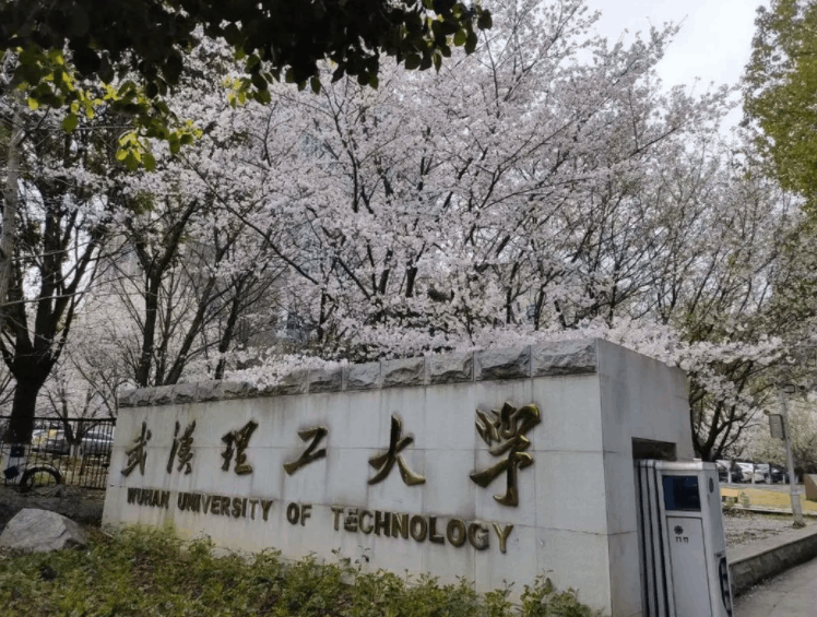 湖北省大學排名出爐,湖北高校金字塔梯隊陣容