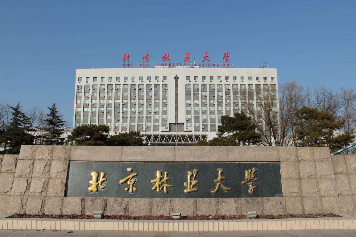 中南林業科技大學排名(五所林業類大學實力對比)